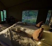 Ongava Tented Camp - Guest Room